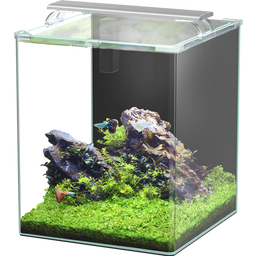 Aquatlantis Set Acuario - Kubus Curve LED - Complete - 65 L