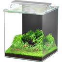 Aquatlantis Kubus Curve LED - Essential - 30 L