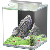 Set Acquario - Kubus Curve LED - Essential