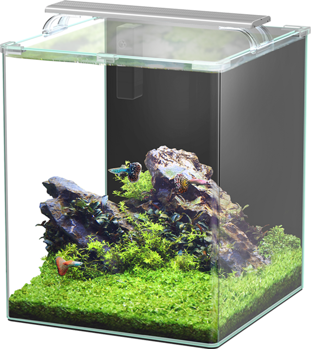 Set Aquarium - Kubus Curve LED - Essential