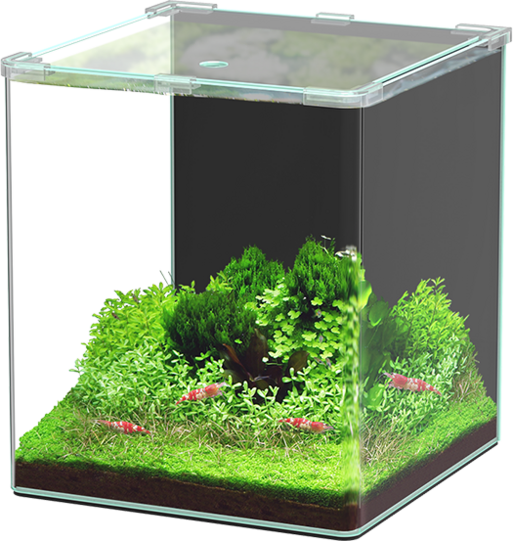 Aquatlantis Kubus Curve LED - Basic - 30 L