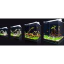 Aquatlantis Aquarium - Kubus Curve LED - Basic - 20 L