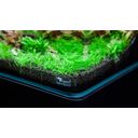 Aquatlantis Aquarium - Kubus Curve LED - Basic - 20 L