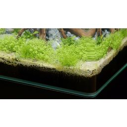 Aquatlantis Aquarium - Kubus Curve LED - Basic - 20 L