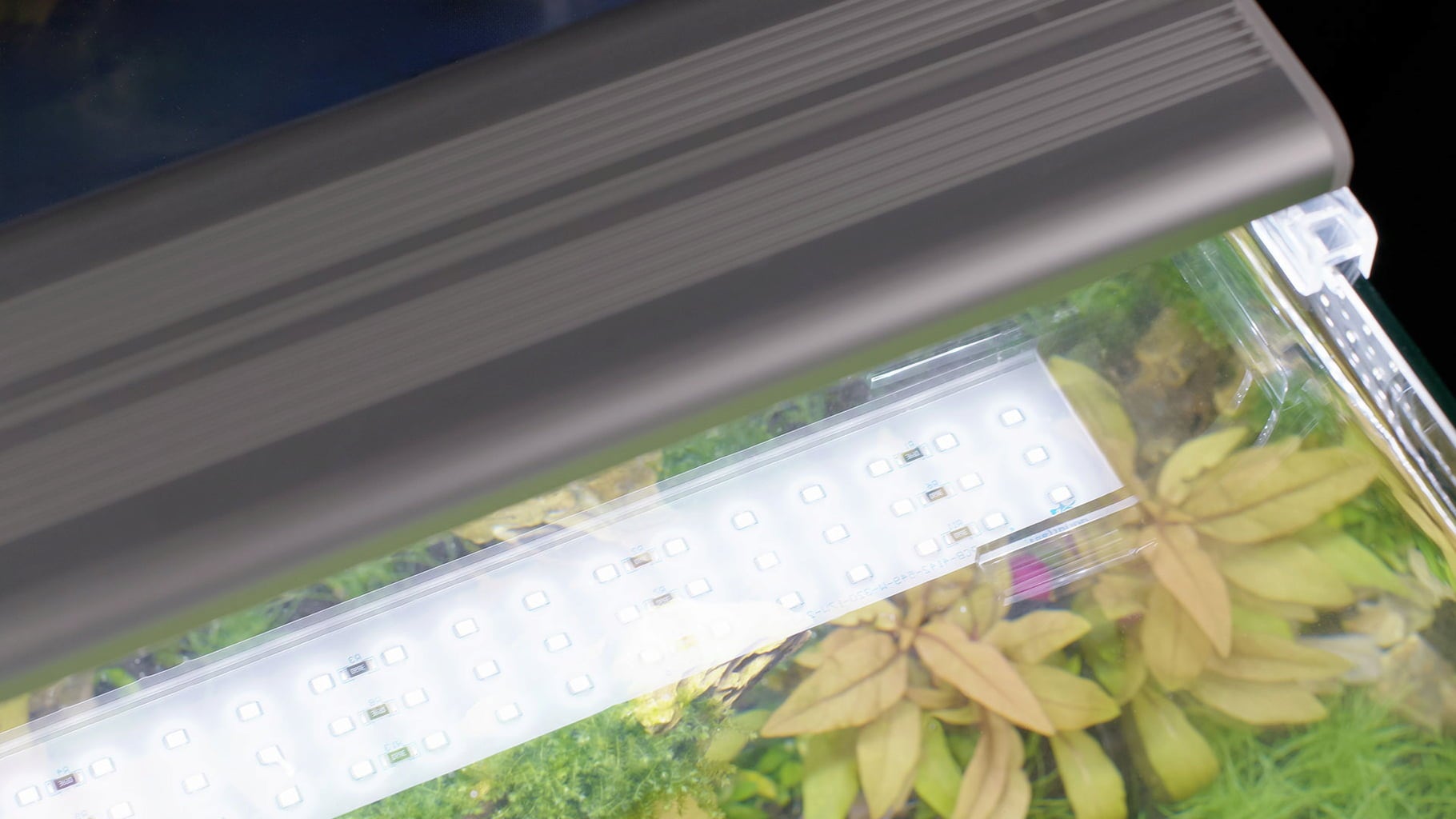 Aquatlantis Kubus Curve LED - Essential - 44 L