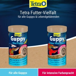 Tetra Guppy Mini Flakes - 100 ml