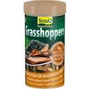 Tetra ReptoDelica Grasshoppers - 250ml