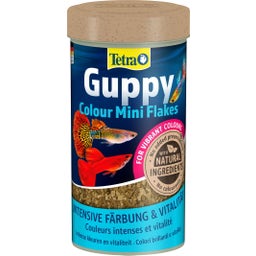 Tetra Guppy Colour Mini Flakes - 250 ml