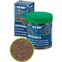 Hobby Huevos de Artemia - 20 ml