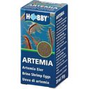 Hobby Artemia Ägg - 20 ml