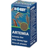 Hobby Œufs d'artémias