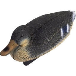 Oase Decorative Pond Figure - Mallard Duck - 1 Pc