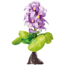 Oase Pontec Floating Water Hyacinth, Blooming - 1 Pc