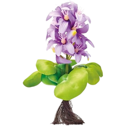 Oase Pontec Floating Water Hyacinth, Blooming - 1 Pc