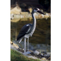 Oase Decorative Pond Figure - Heron - 1 Pc