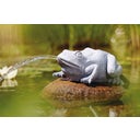 Oase Water Spout - Frog - 1 Pc