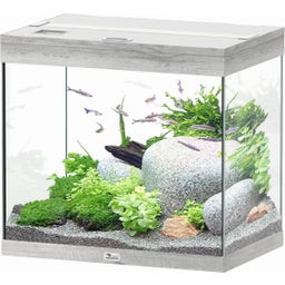 Aquatlantis Splendid 110 kőris fehér akvárium