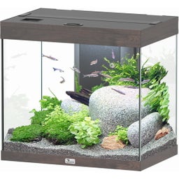 Aquatlantis Splendid 110 sötét vadtölgy akvárium