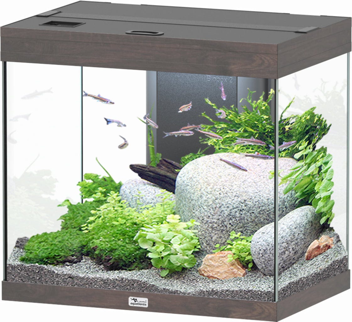 Aquatlantis Splendid Ultra 110 Wildeiche Dunkel Aquarium - 1 Stk