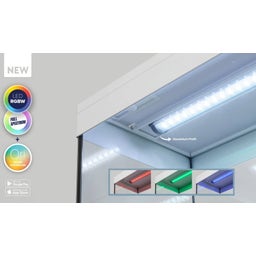Aquatlantis Aquarium avec Meuble Splendid 145 - Noir - 1 Set