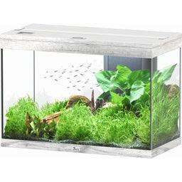 Aquatlantis Splendid Ultra 145 Aquarium - Essen Wit 