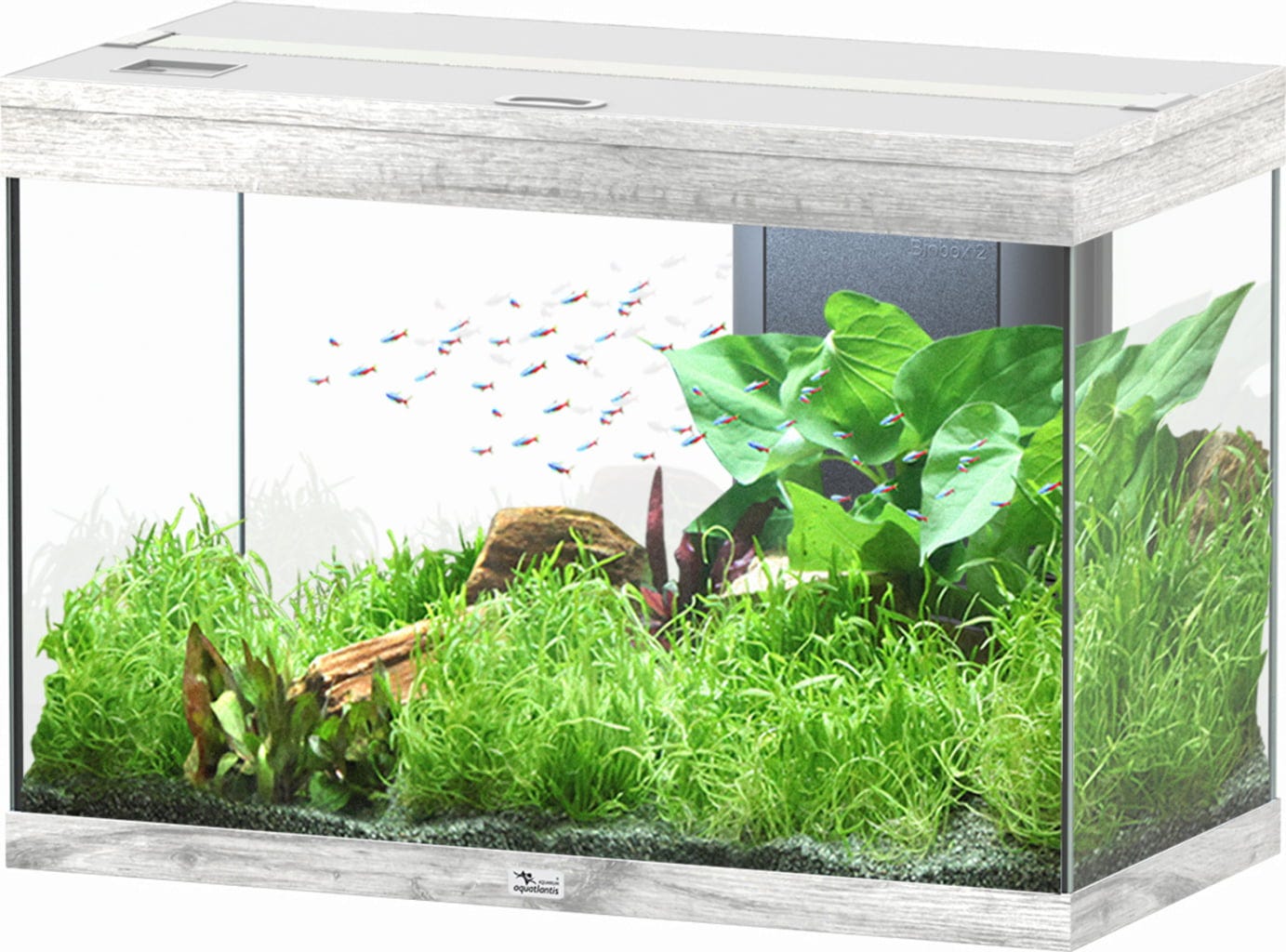 Aquatlantis Splendid Ultra 145 Esche Weiß Aquarium - 1 Set