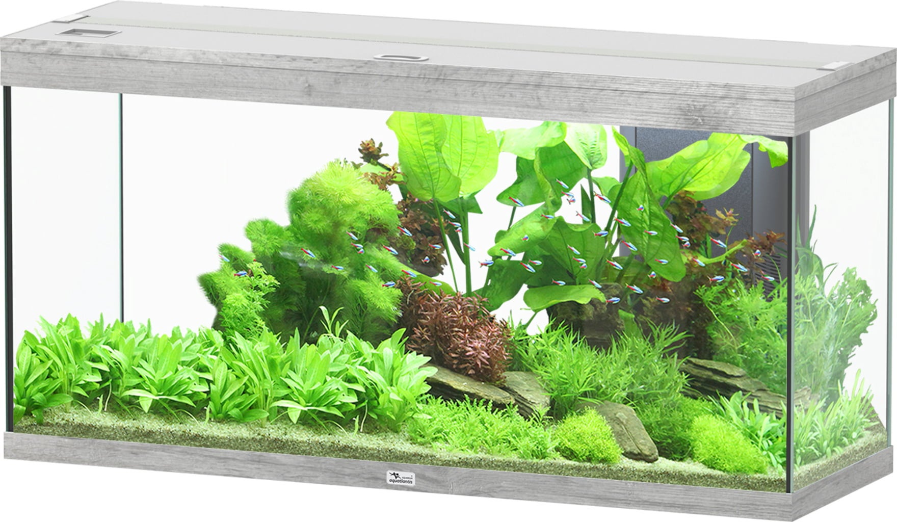 Aquatlantis Splendid Ultra 240 Aquarium - Aswit 