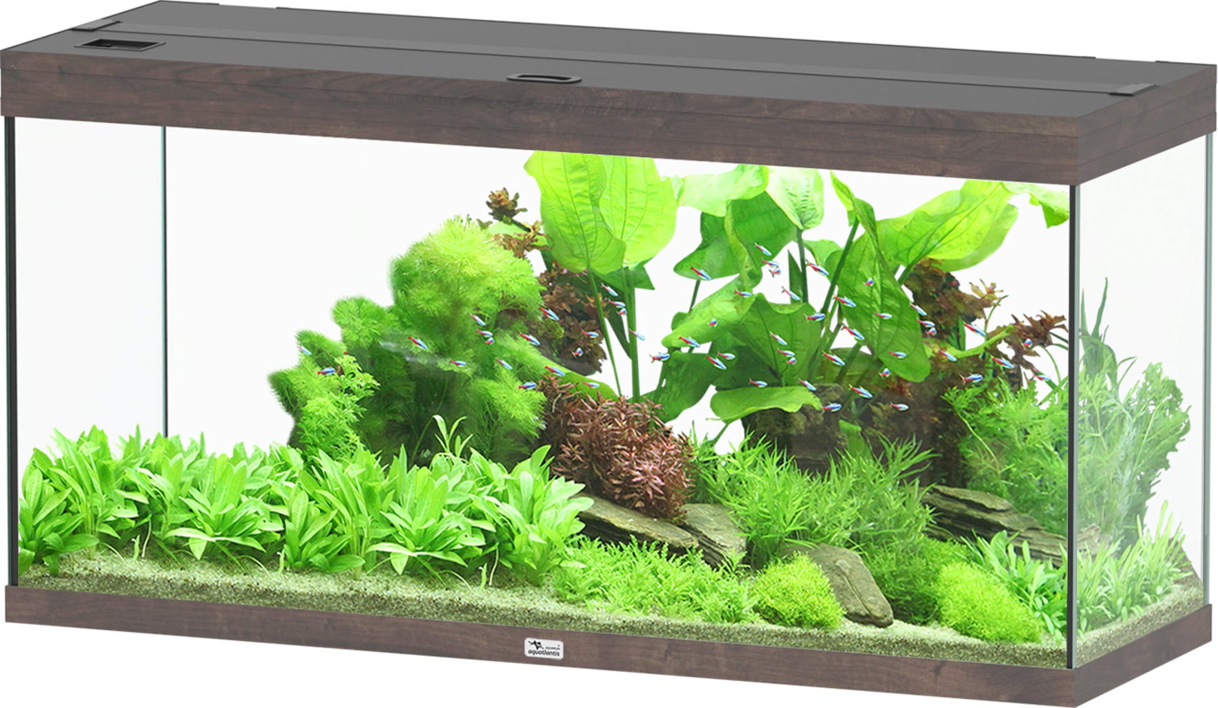 Acquario - Splendid Ultra 240 Rovere Selvatico Scuro - 1 pz.