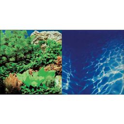 Hobby Fotorückwand Pflanzen / Marin Blue