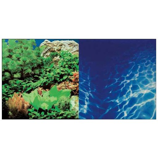 Hobby Photobackground - Plants / Marine Blue