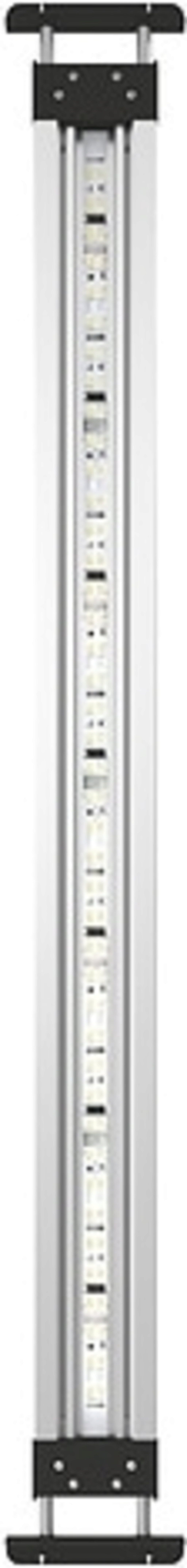 Oase MotionControl LED - 80