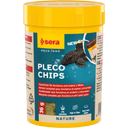 Wels-Chips Nature, 100 ml