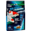 JBL ProPond Koi Staple + Silkworms - 2 kg