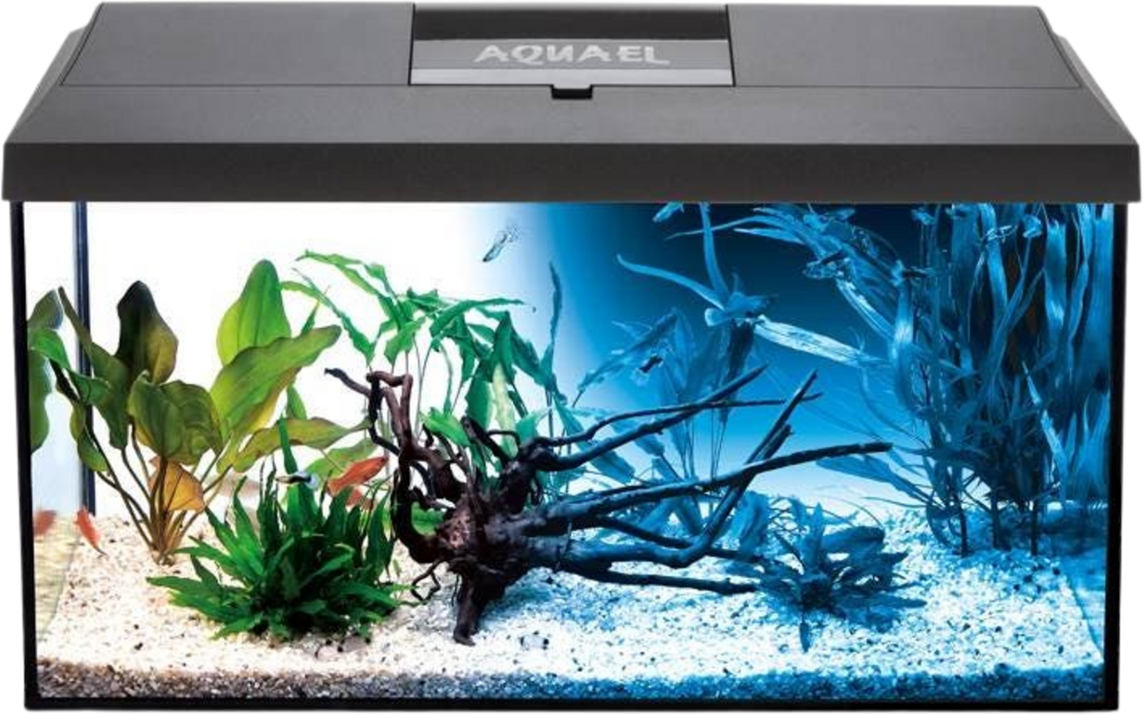 Aquael Set de Acuario LEDDY Day&Night 60 2.0