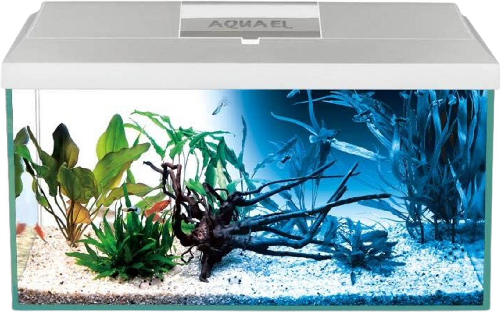 Aquael LEDDY Day&Night 60 2.0