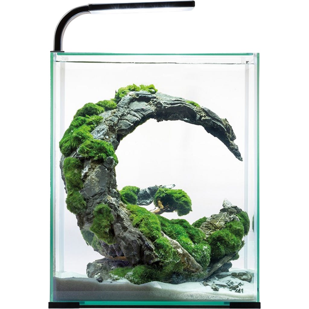 Aquael shrimp set day & night 10 zwart of wit 20 x 20 x 25 cm