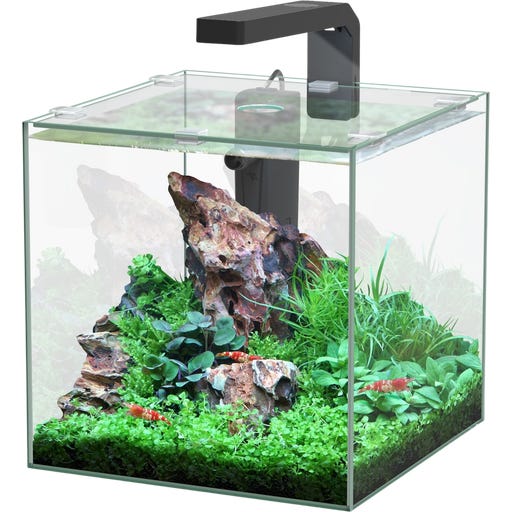 Aquatlantis Kubus 10 L LED Aquarienset - 1 Set