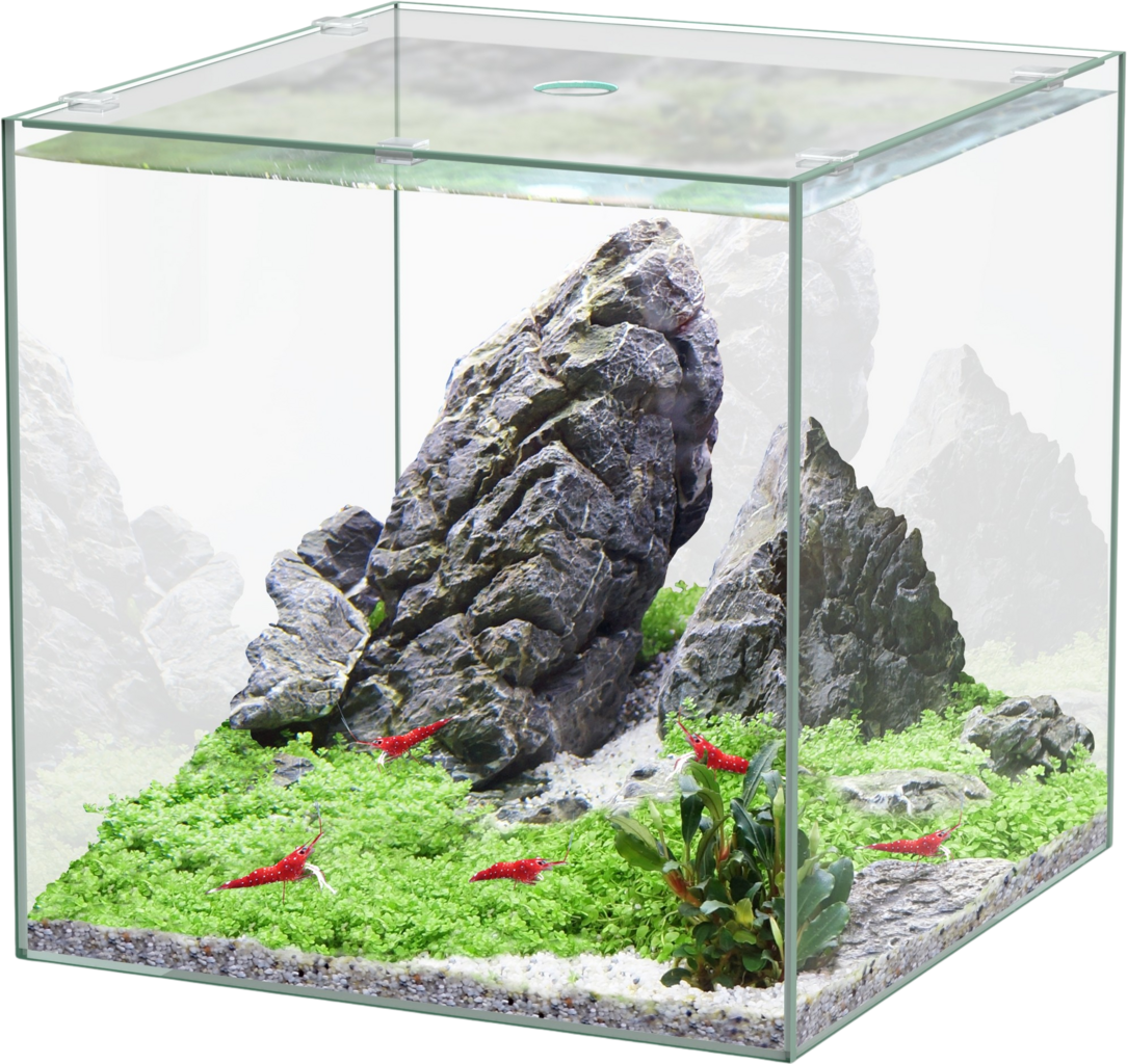 Aquatlantis Cuve Kubus
