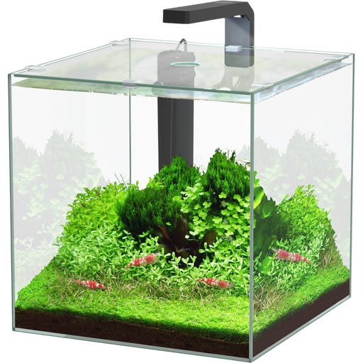 Aquatlantis Kubus 22 L LED Aquarienset - 1 Set