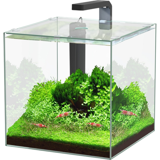 Aquatlantis Set Acquario - Kubus 54 L LED - 1 set