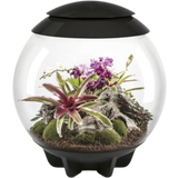 biOrb AIR 60