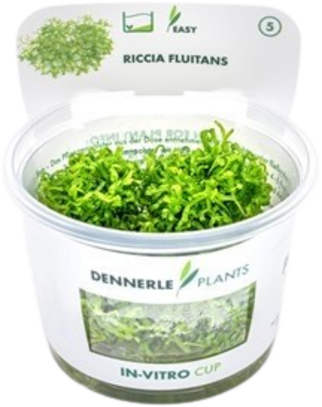 Dennerle Plants Riccia fluitans CUP - 1 Stk