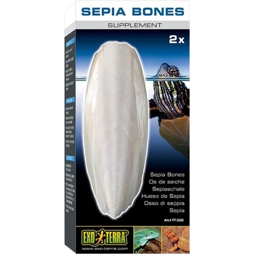 Stampo in silicone a forma di tartaruga, stampo in gesso e