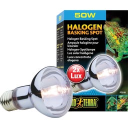 Exo Terra Sun Glo Halogen - 50 W