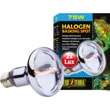 Exo Terra Sun Glo Halogen