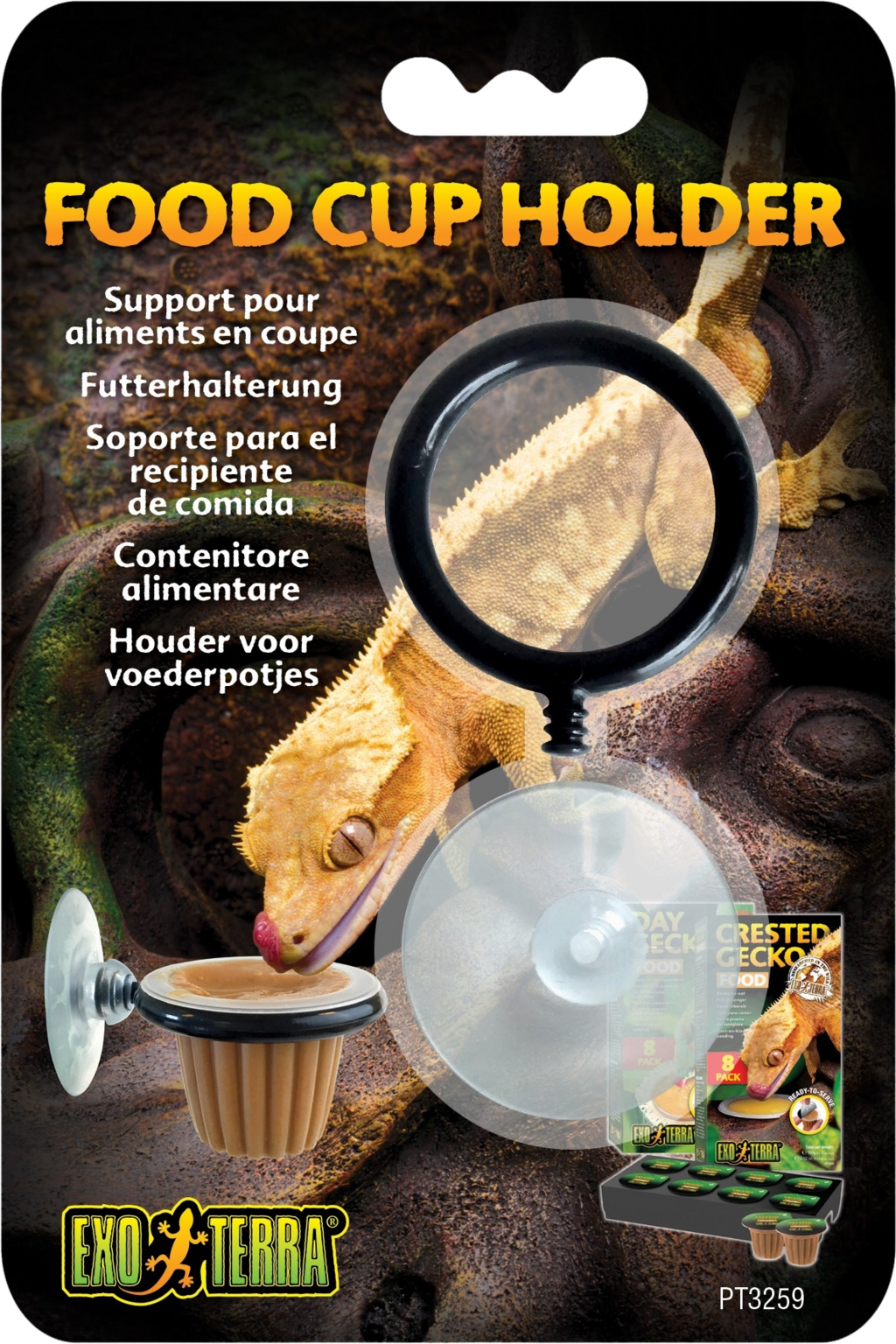 Support avec Ventouse pour Nourriture de Gecko