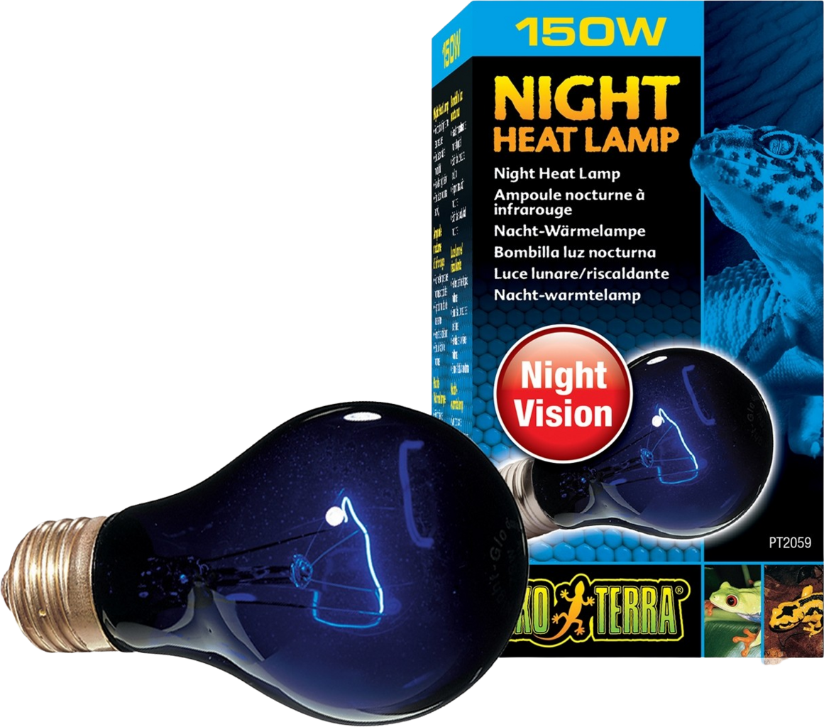 Exo Terra Night Heat Lamp