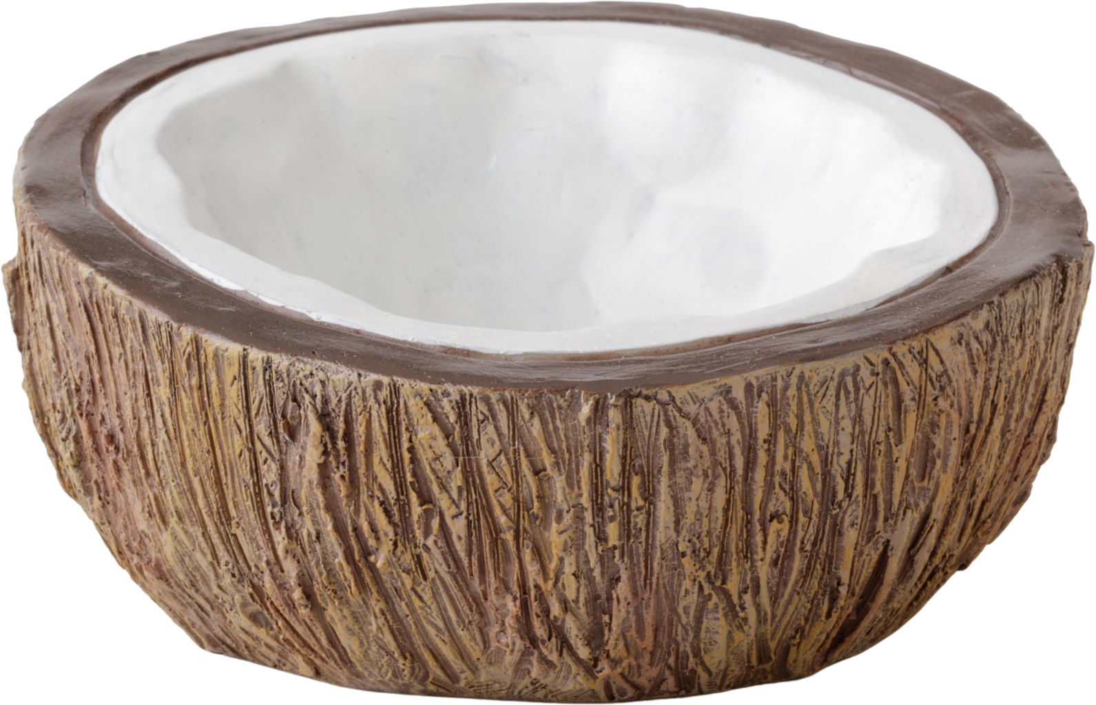Exo Terra Abreuvoir "Noix de Coco"
