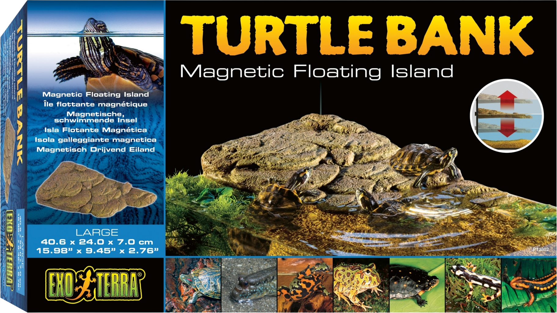 Turtle Bank, L