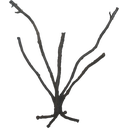 Jungle Tree, M
